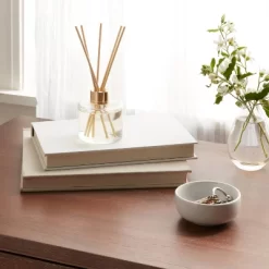 4oz Boxed Reed Diffuser Driftwood & Sea Salt - Opalhouseā¢