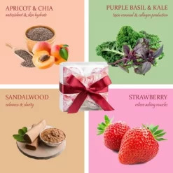 Freida & Joe Aromatherapy Fragrances 4 Pieces Bath Bomb Gift Set